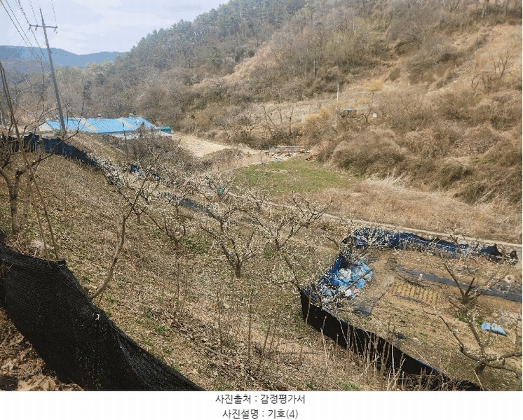 2025타경1580 대전광역시 동구 상소동 산7-1 임야 경매 이미지