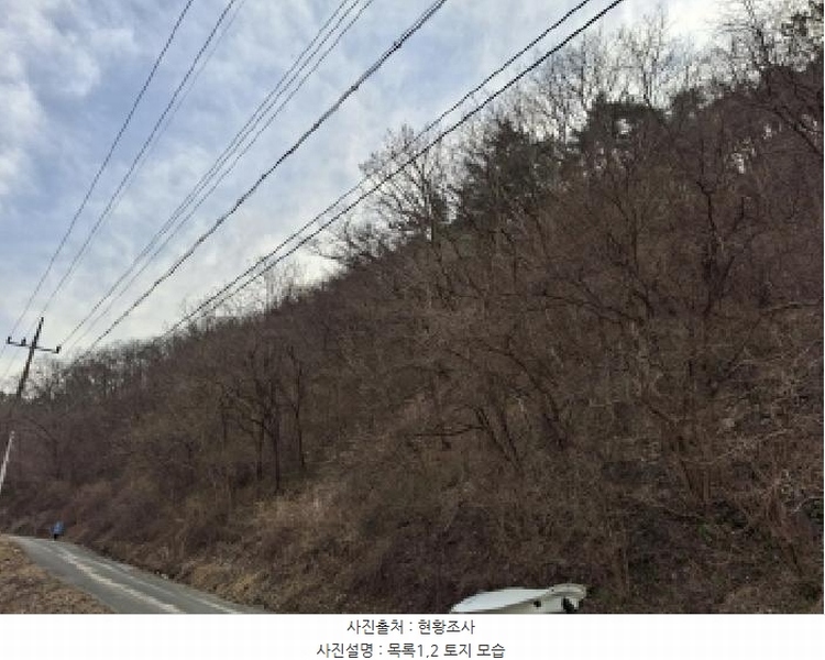 2025타경1580 대전광역시 동구 상소동 산7-1 임야 경매 이미지