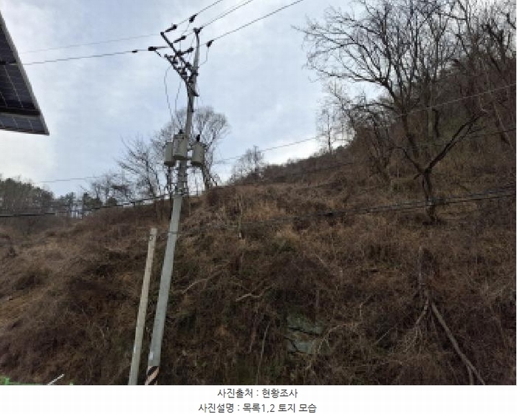 2025타경1580 대전광역시 동구 상소동 산7-1 임야 경매 이미지