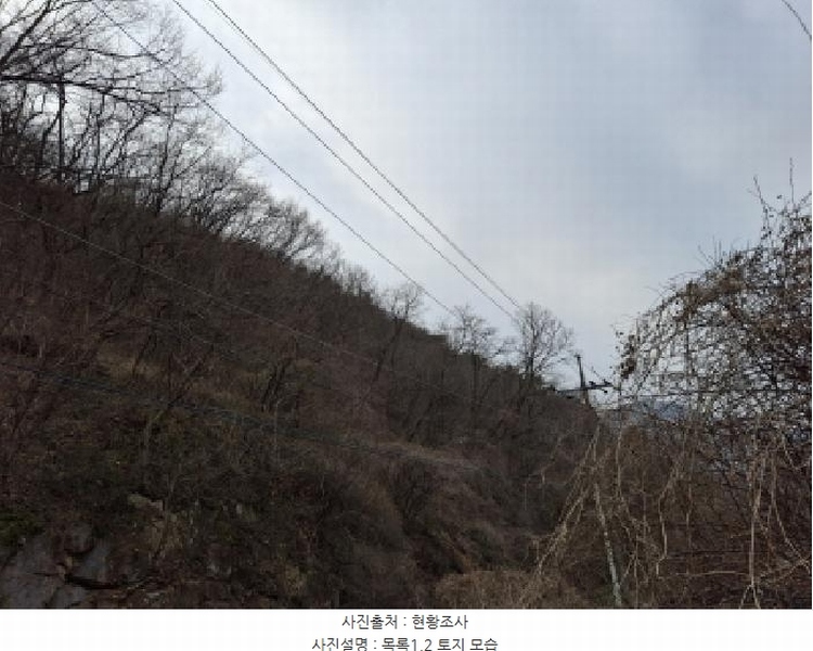 2025타경1580 대전광역시 동구 상소동 산7-1 임야 경매 이미지