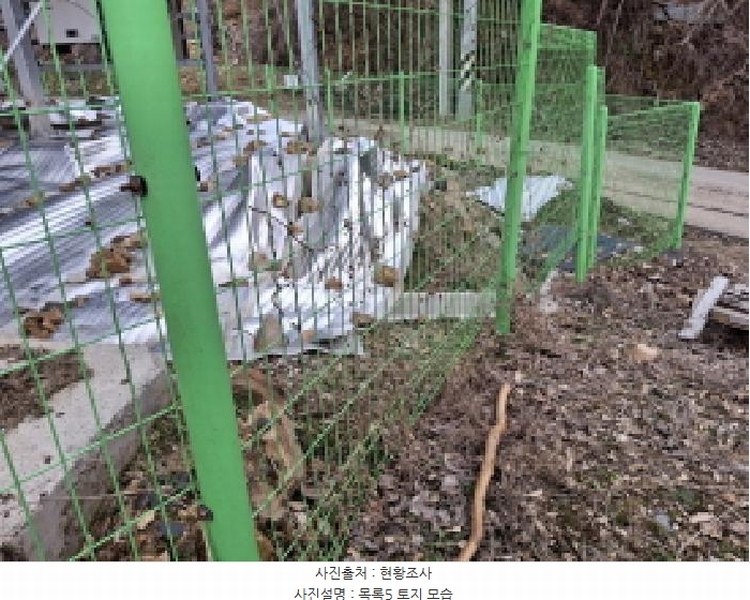 2025타경1580 대전광역시 동구 상소동 산7-1 임야 경매 이미지