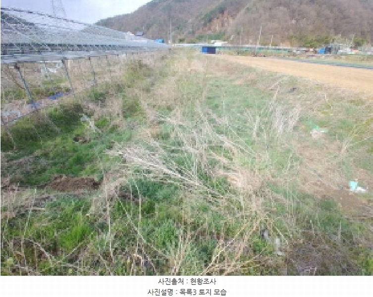 2025타경501349 충청남도 금산군 추부면 성당리 696-7 농지 경매 이미지