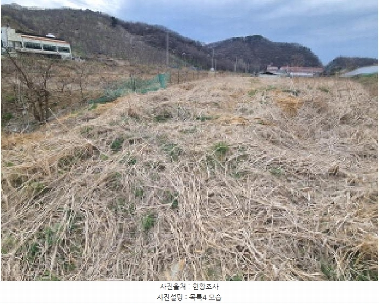 2025타경502100 세종특별자치시 장군면 봉안리 485-51 농지 경매 이미지