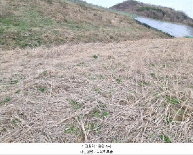 2025타경502100 세종특별자치시 장군면 봉안리 485-51 농지 경매 이미지
