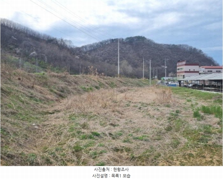 2025타경502100 세종특별자치시 장군면 봉안리 485-51 농지 경매 이미지