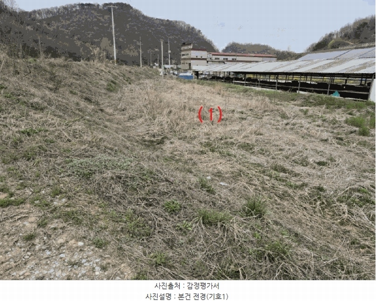 2025타경502100 세종특별자치시 장군면 봉안리 485-51 농지 경매 이미지