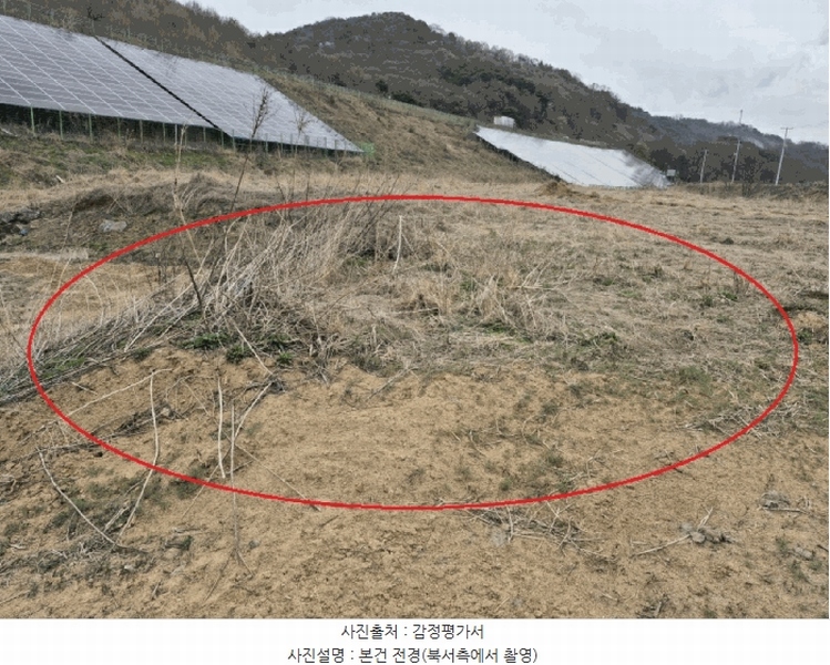 2025타경502100 세종특별자치시 장군면 봉안리 485-51 농지 경매 이미지