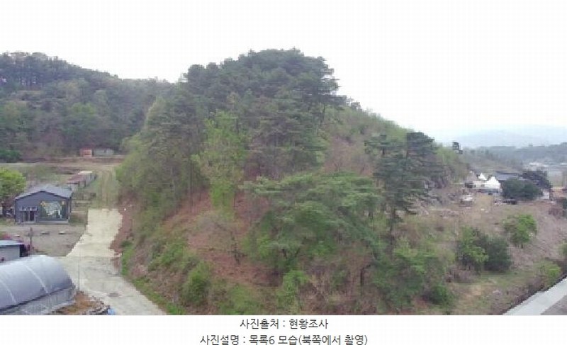 2025타경502158 세종특별자치시 장군면 대교리 293 근린시설 경매 이미지