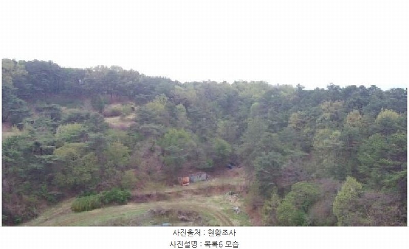2025타경502158 세종특별자치시 장군면 대교리 293 근린시설 경매 이미지