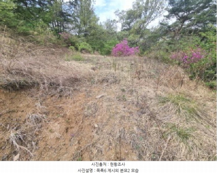 2025타경502158 세종특별자치시 장군면 대교리 293 근린시설 경매 이미지