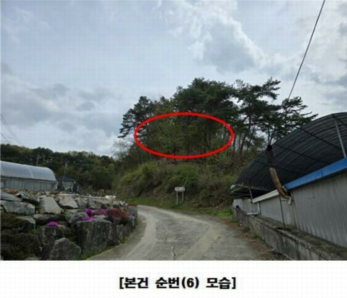 2025타경502158 세종특별자치시 장군면 대교리 293 근린시설 경매 이미지