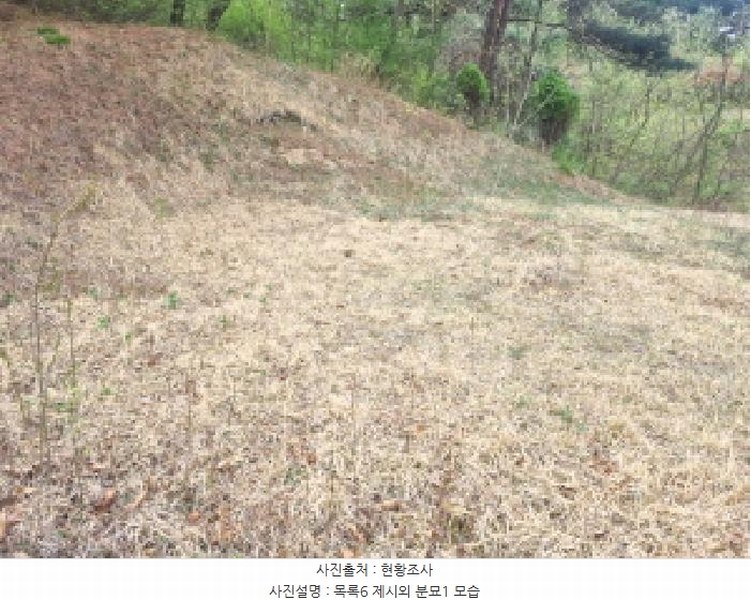 2025타경502158 세종특별자치시 장군면 대교리 293 근린시설 경매 이미지