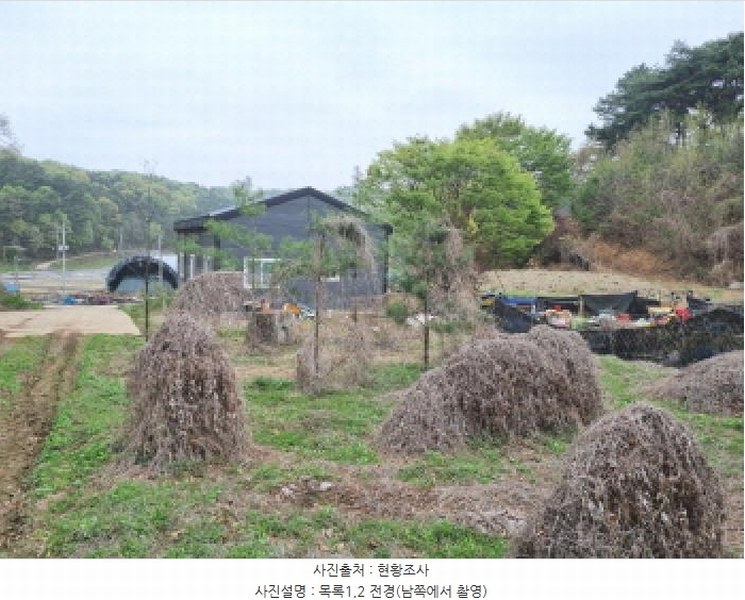 2025타경502158 세종특별자치시 장군면 대교리 293 근린시설 경매 이미지