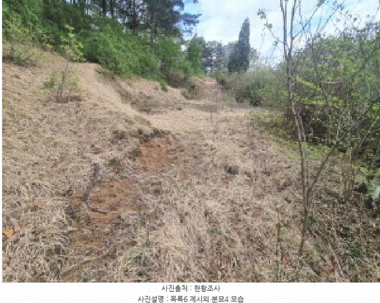 2025타경502158 세종특별자치시 장군면 대교리 293 근린시설 경매 이미지