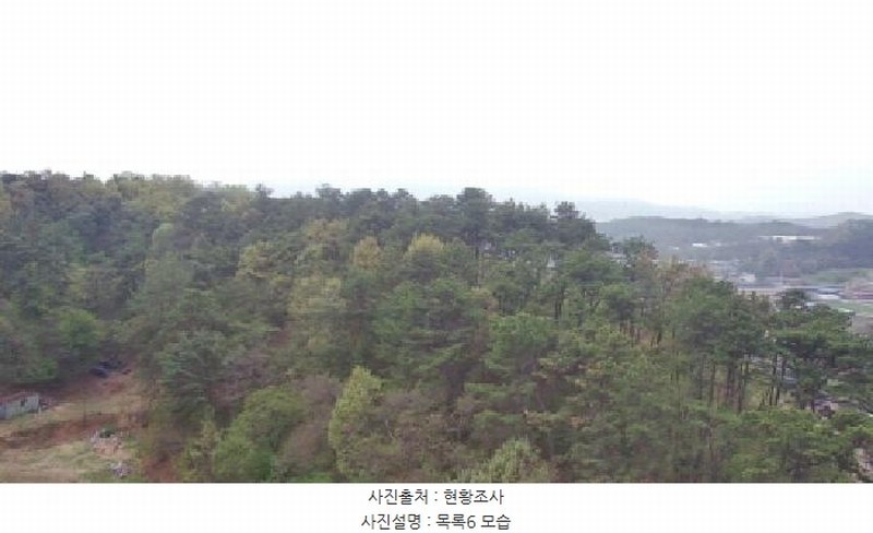 2025타경502158 세종특별자치시 장군면 대교리 293 근린시설 경매 이미지
