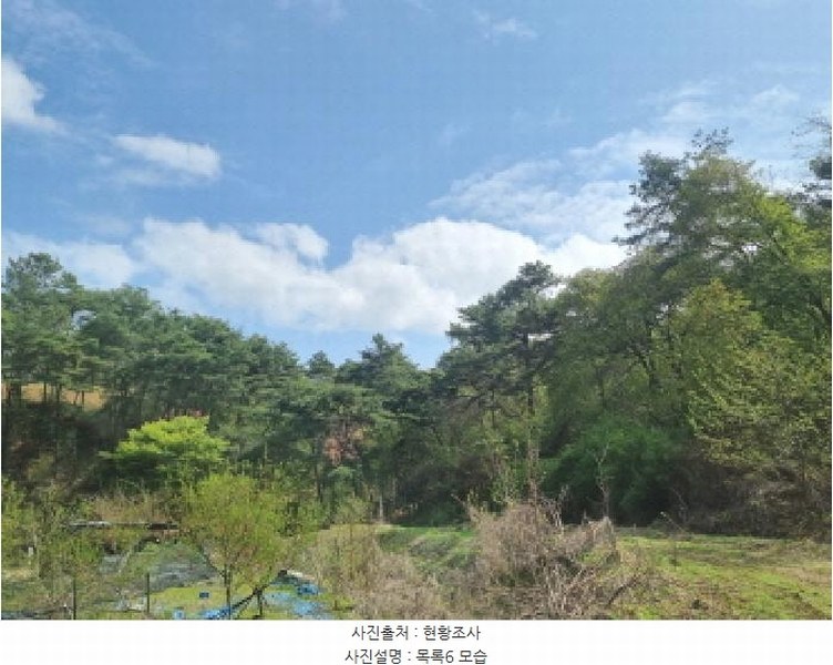 2025타경502158 세종특별자치시 장군면 대교리 293 근린시설 경매 이미지