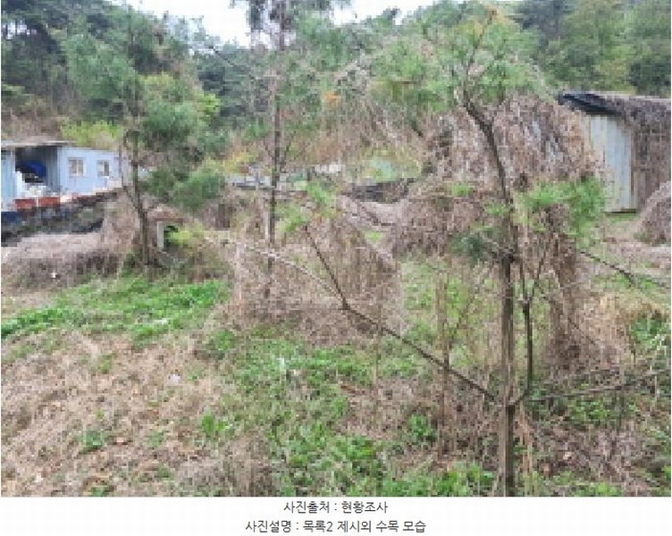 2025타경502158 세종특별자치시 장군면 대교리 293 근린시설 경매 이미지