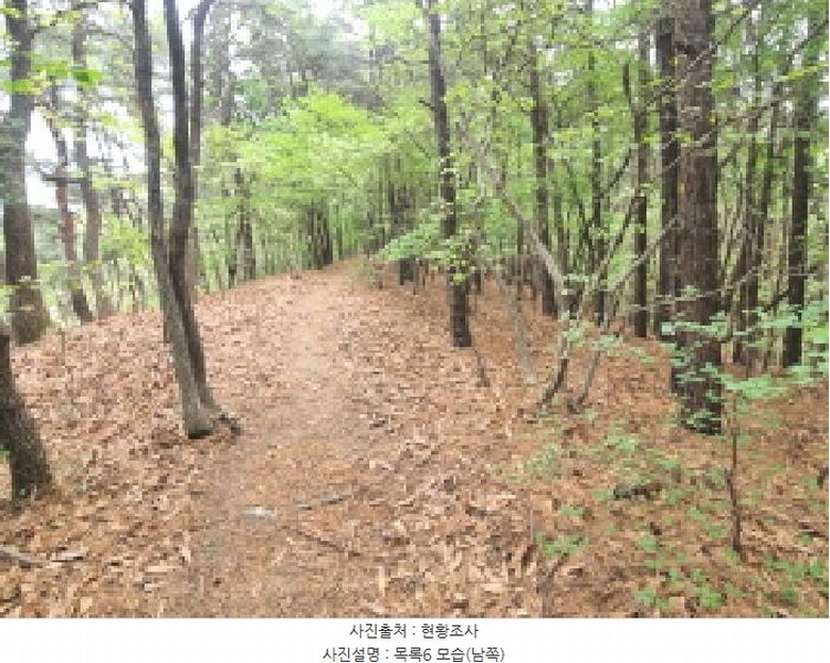 2025타경502158 세종특별자치시 장군면 대교리 293 근린시설 경매 이미지