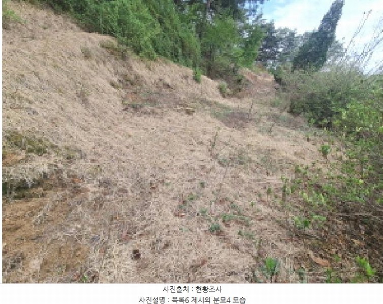 2025타경502158 세종특별자치시 장군면 대교리 293 근린시설 경매 이미지