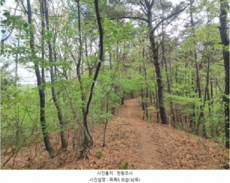 2025타경502158 세종특별자치시 장군면 대교리 293 근린시설 경매 이미지