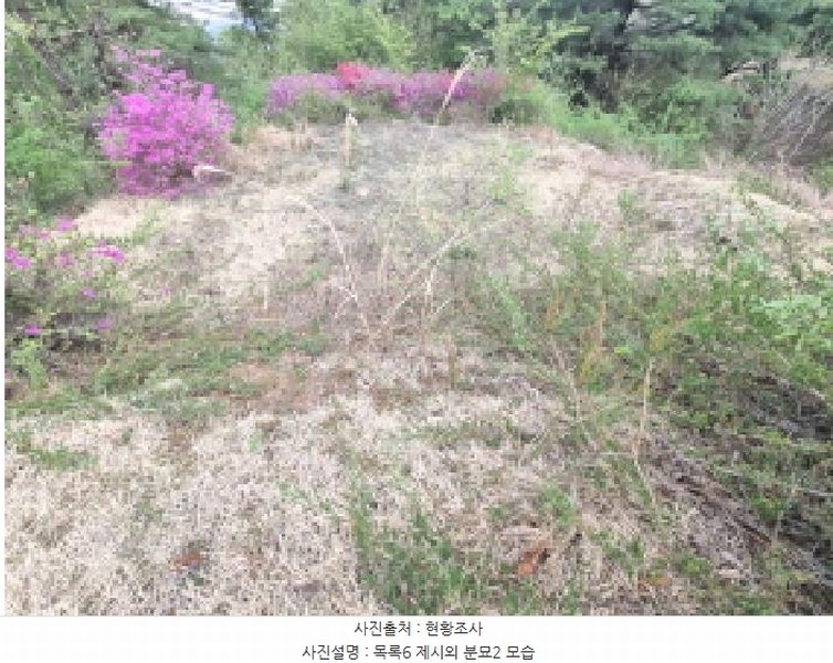 2025타경502158 세종특별자치시 장군면 대교리 293 근린시설 경매 이미지