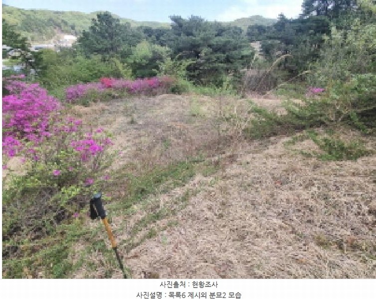 2025타경502158 세종특별자치시 장군면 대교리 293 근린시설 경매 이미지