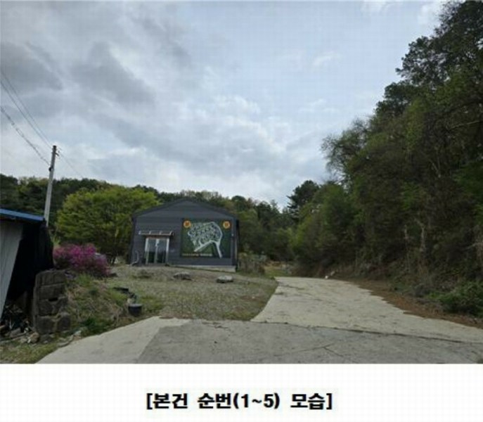 2025타경502158 세종특별자치시 장군면 대교리 293 근린시설 경매 이미지
