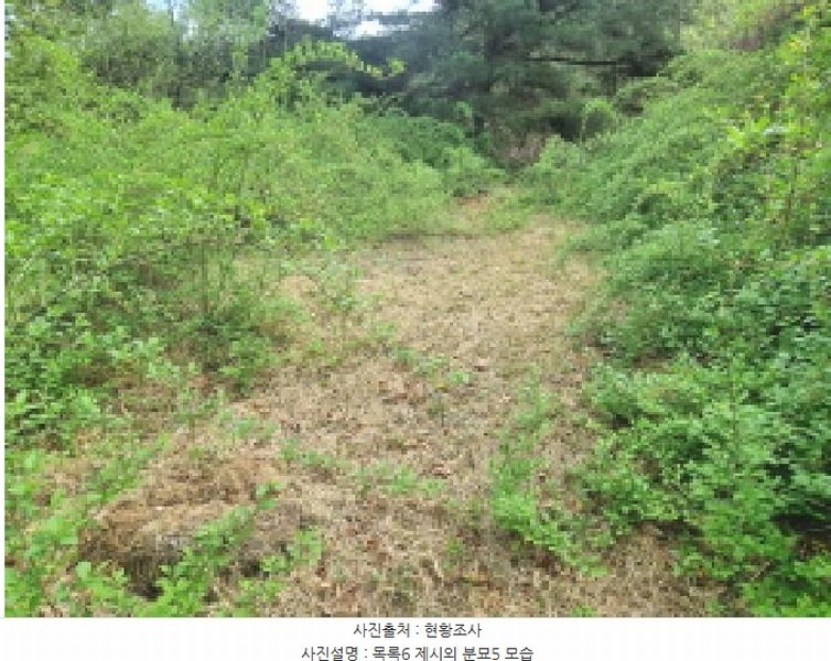 2025타경502158 세종특별자치시 장군면 대교리 293 근린시설 경매 이미지