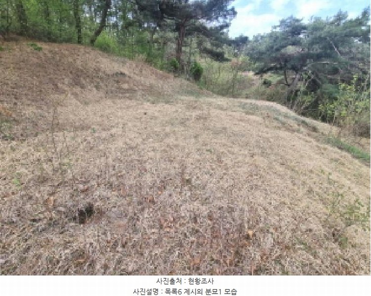 2025타경502158 세종특별자치시 장군면 대교리 293 근린시설 경매 이미지