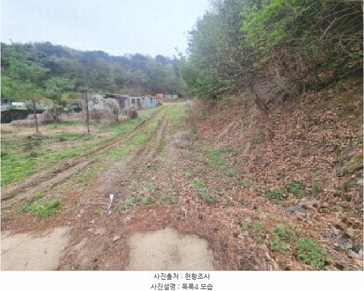 2025타경502158 세종특별자치시 장군면 대교리 293 근린시설 경매 이미지