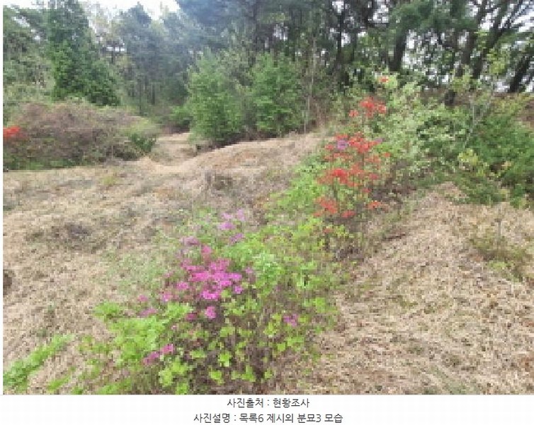 2025타경502158 세종특별자치시 장군면 대교리 293 근린시설 경매 이미지