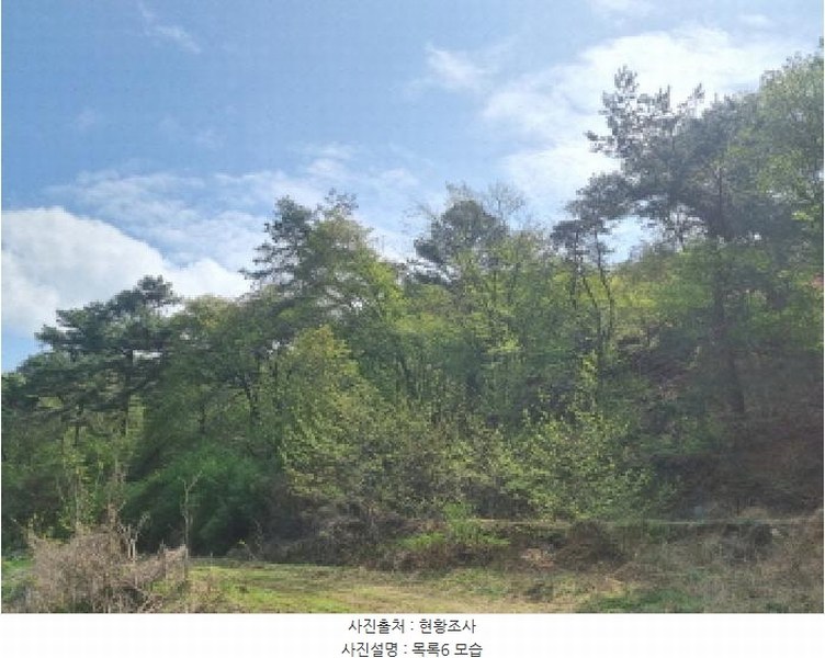 2025타경502158 세종특별자치시 장군면 대교리 293 근린시설 경매 이미지