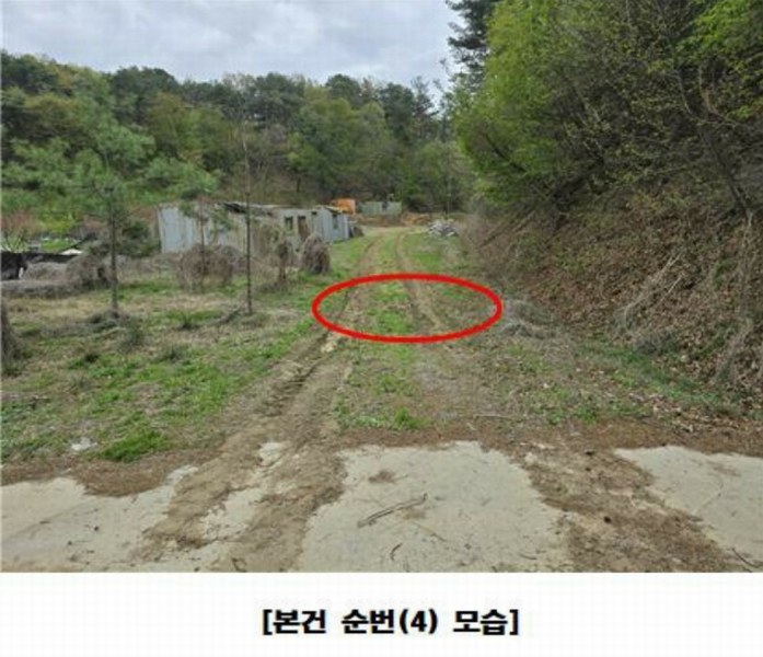 2025타경502158 세종특별자치시 장군면 대교리 293 근린시설 경매 이미지