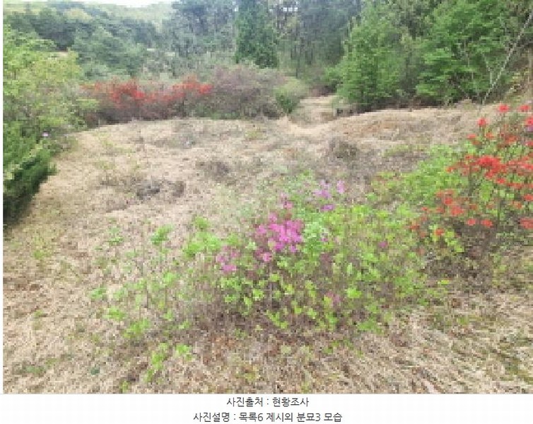 2025타경502158 세종특별자치시 장군면 대교리 293 근린시설 경매 이미지