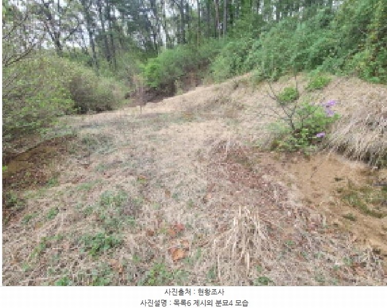 2025타경502158 세종특별자치시 장군면 대교리 293 근린시설 경매 이미지
