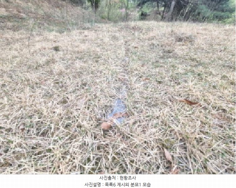 2025타경502158 세종특별자치시 장군면 대교리 293 근린시설 경매 이미지