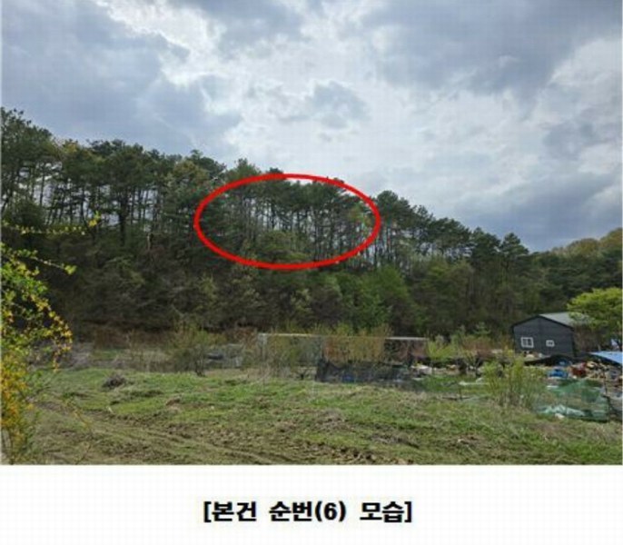 2025타경502158 세종특별자치시 장군면 대교리 293 근린시설 경매 이미지