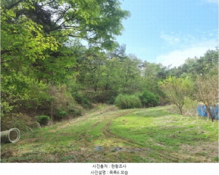 2025타경502158 세종특별자치시 장군면 대교리 293 근린시설 경매 이미지