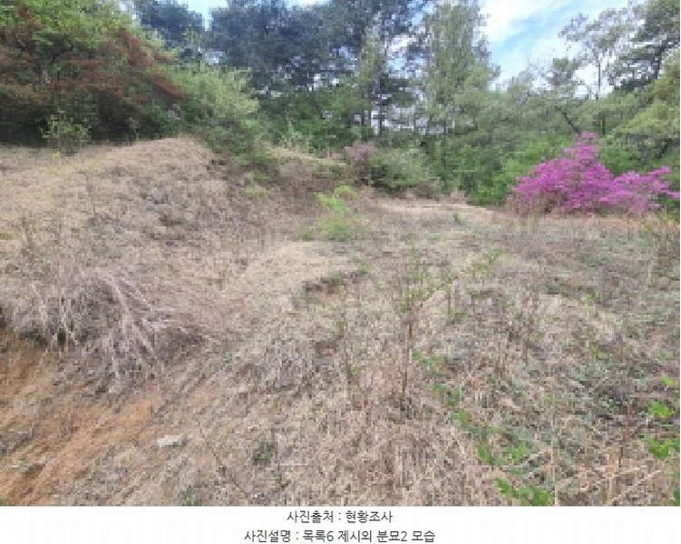 2025타경502158 세종특별자치시 장군면 대교리 293 근린시설 경매 이미지