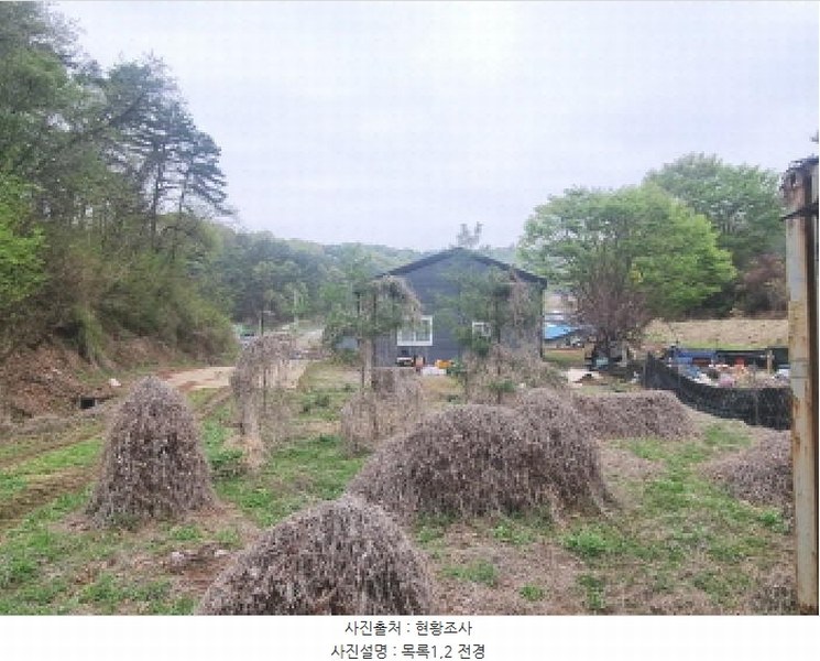 2025타경502158 세종특별자치시 장군면 대교리 293 근린시설 경매 이미지