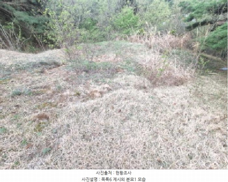 2025타경502158 세종특별자치시 장군면 대교리 293 근린시설 경매 이미지