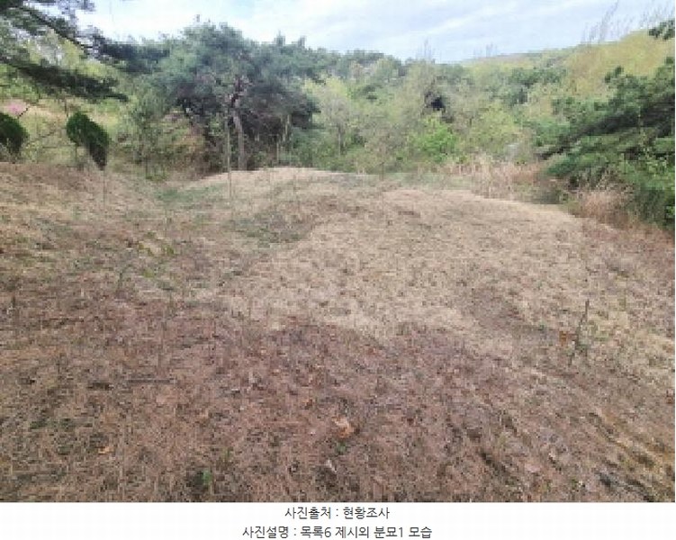 2025타경502158 세종특별자치시 장군면 대교리 293 근린시설 경매 이미지