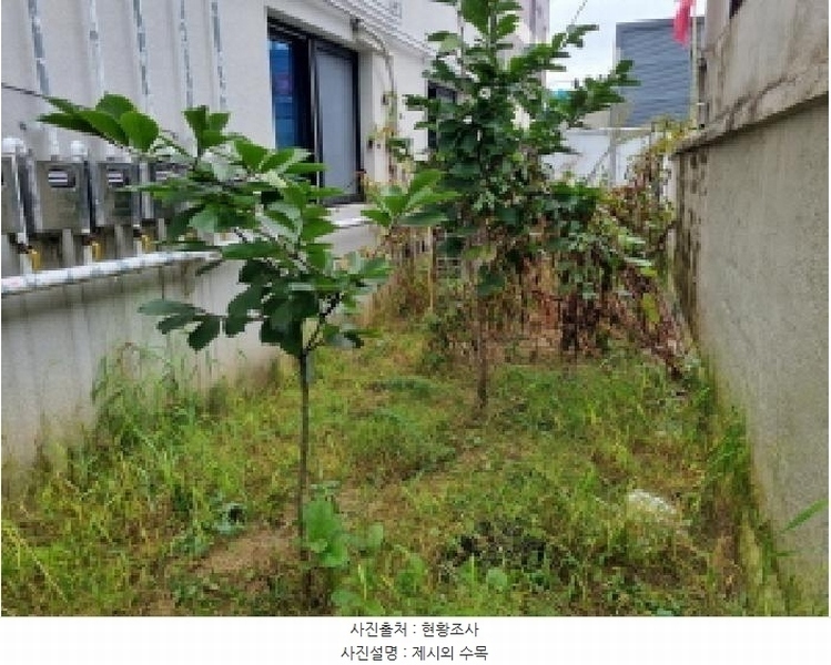 2023타경10511 대전광역시 중구 유천동 269-35 근린주택 경매 이미지