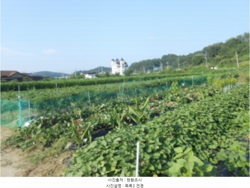 2024타경8843 세종특별자치시 전의면 동교리 221-8 농지 경매 이미지