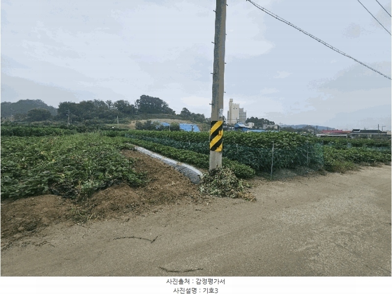 2024타경8843 세종특별자치시 전의면 동교리 221-8 농지 경매 이미지