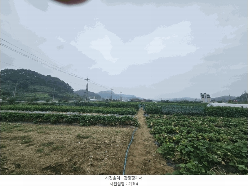 2024타경8843 세종특별자치시 전의면 동교리 221-8 농지 경매 이미지