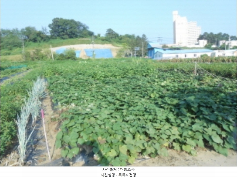 2024타경8843 세종특별자치시 전의면 동교리 221-8 농지 경매 이미지