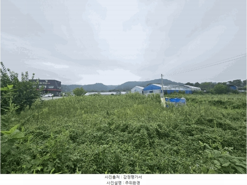 2024타경8843 세종특별자치시 전의면 동교리 221-8 농지 경매 이미지