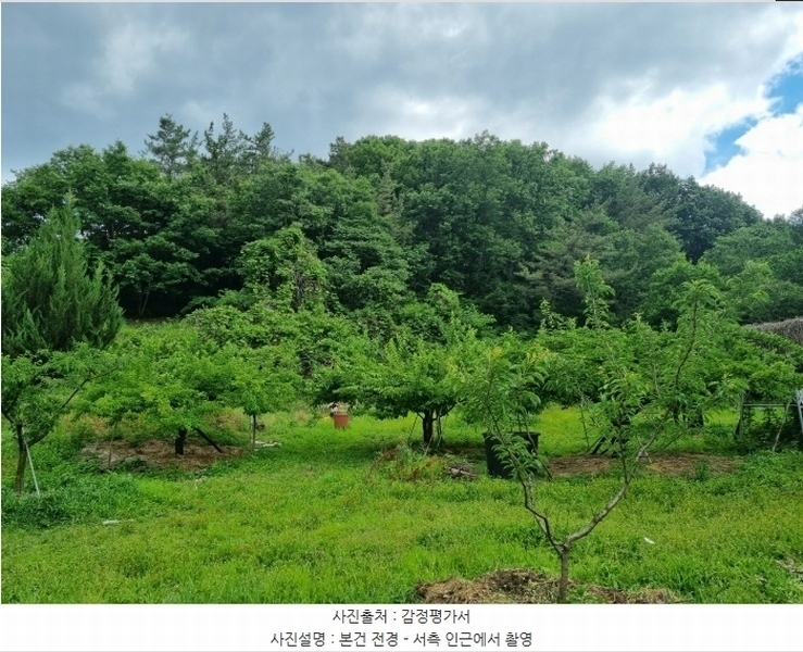 2024타경110685 경상북도 영천시 청통면 계지리 산12-1 임야 경매 이미지