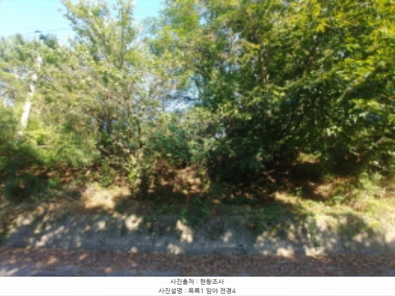 2024타경115840 충청남도 금산군 군북면 보광리 551-5 임야 경매 이미지